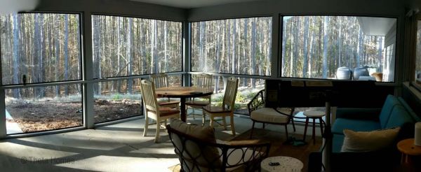 Outdoor space arranged with lawn and pathway